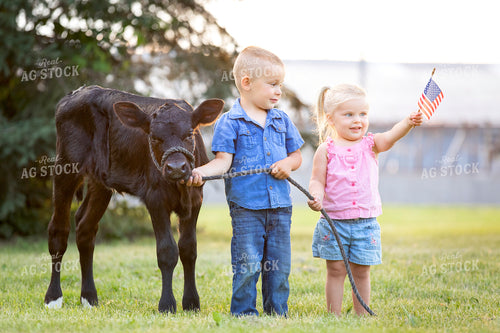 Farm Kids with Show Cow 55178