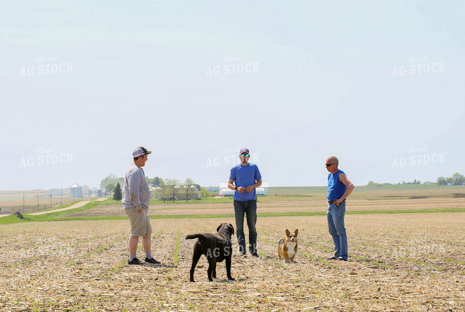 Farmers Talking in Field 161079