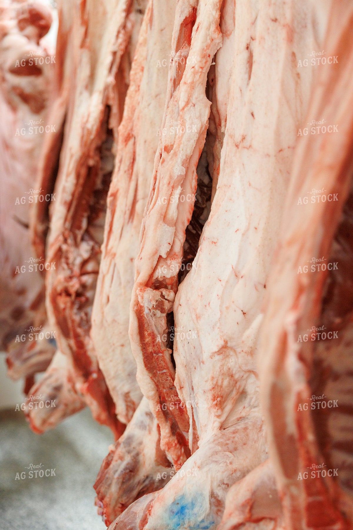 Meat Processing Facility 295209
