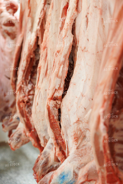 Meat Processing Facility 295209