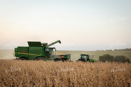 Soybean Harvest 268097