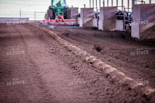 Laying Compost Bedding in Dairy Barn 270062