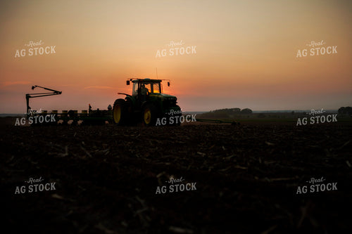 Planting 1955