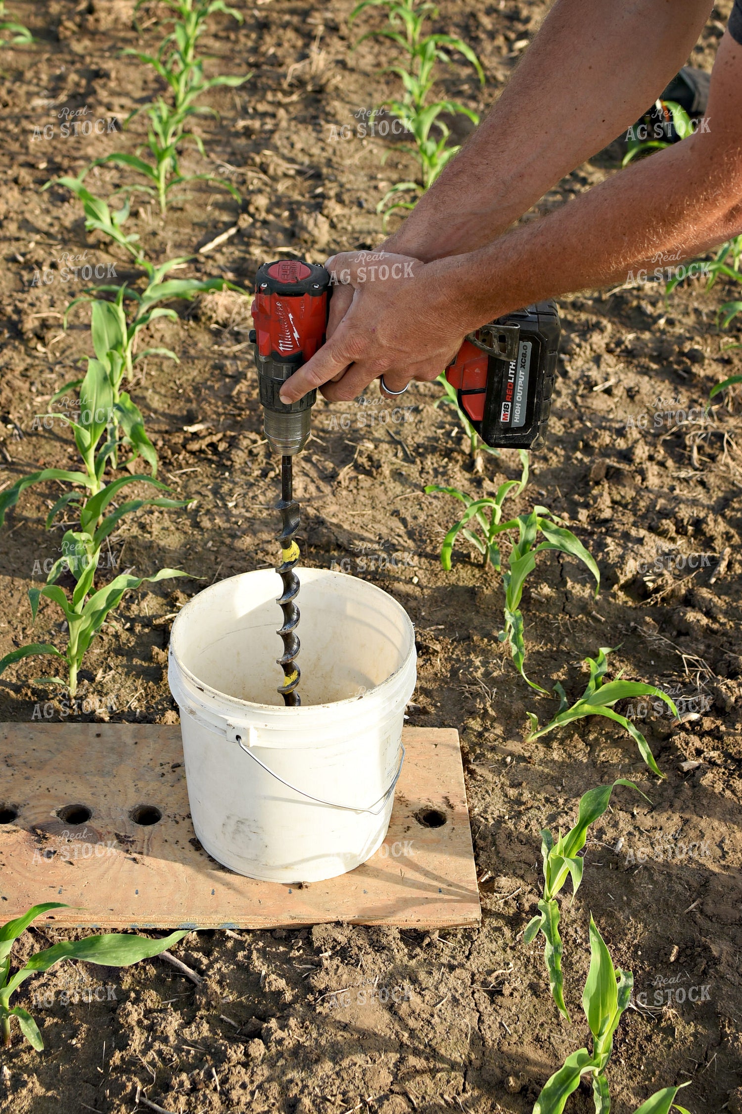 Soil Sampling 100046