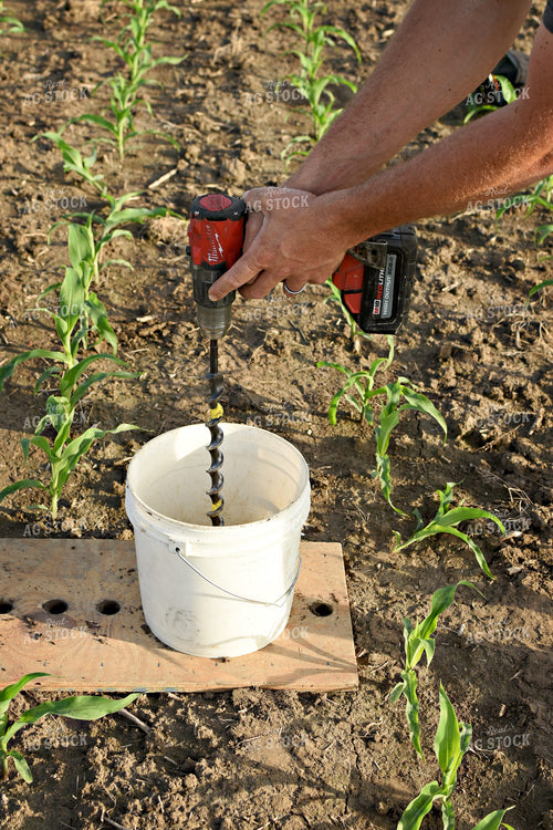 Soil Sampling 100046