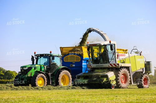 Cutting Silage 121012