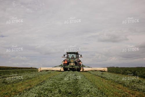 Cutting Hay 152140