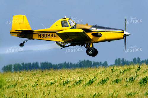 Crop Duster 154011