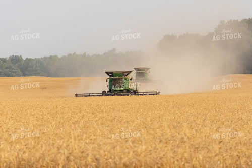 Combines Harvesting Wheat 79312