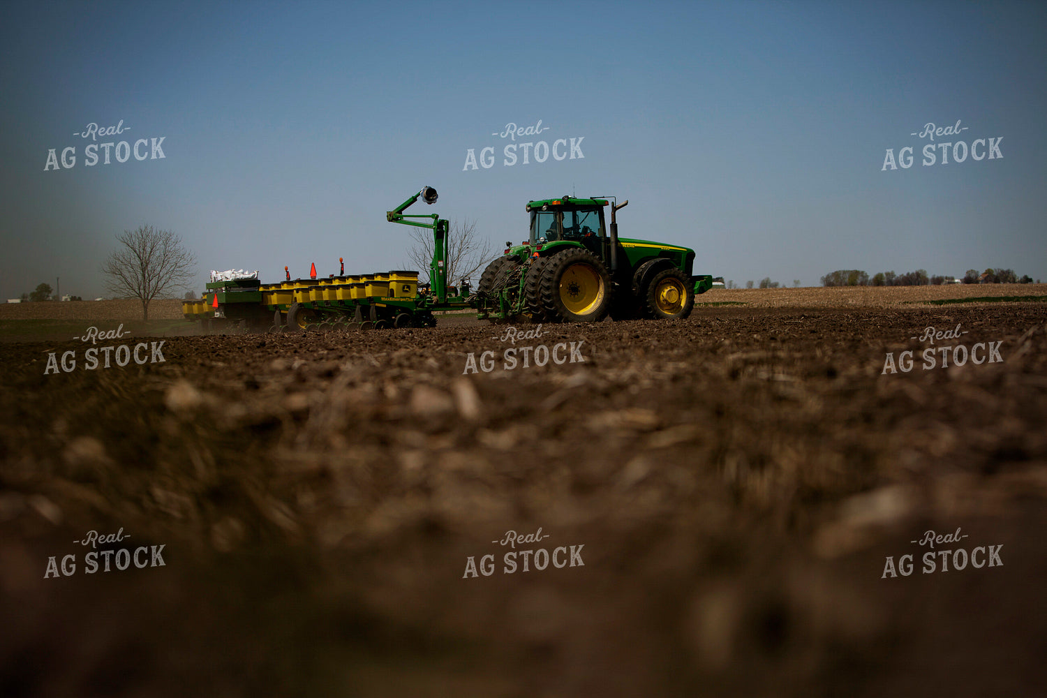 Planting 1994