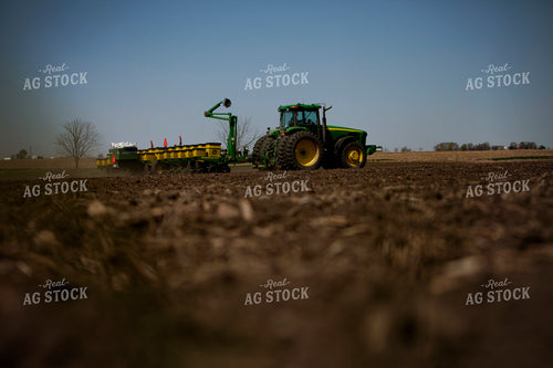 Planting 1994