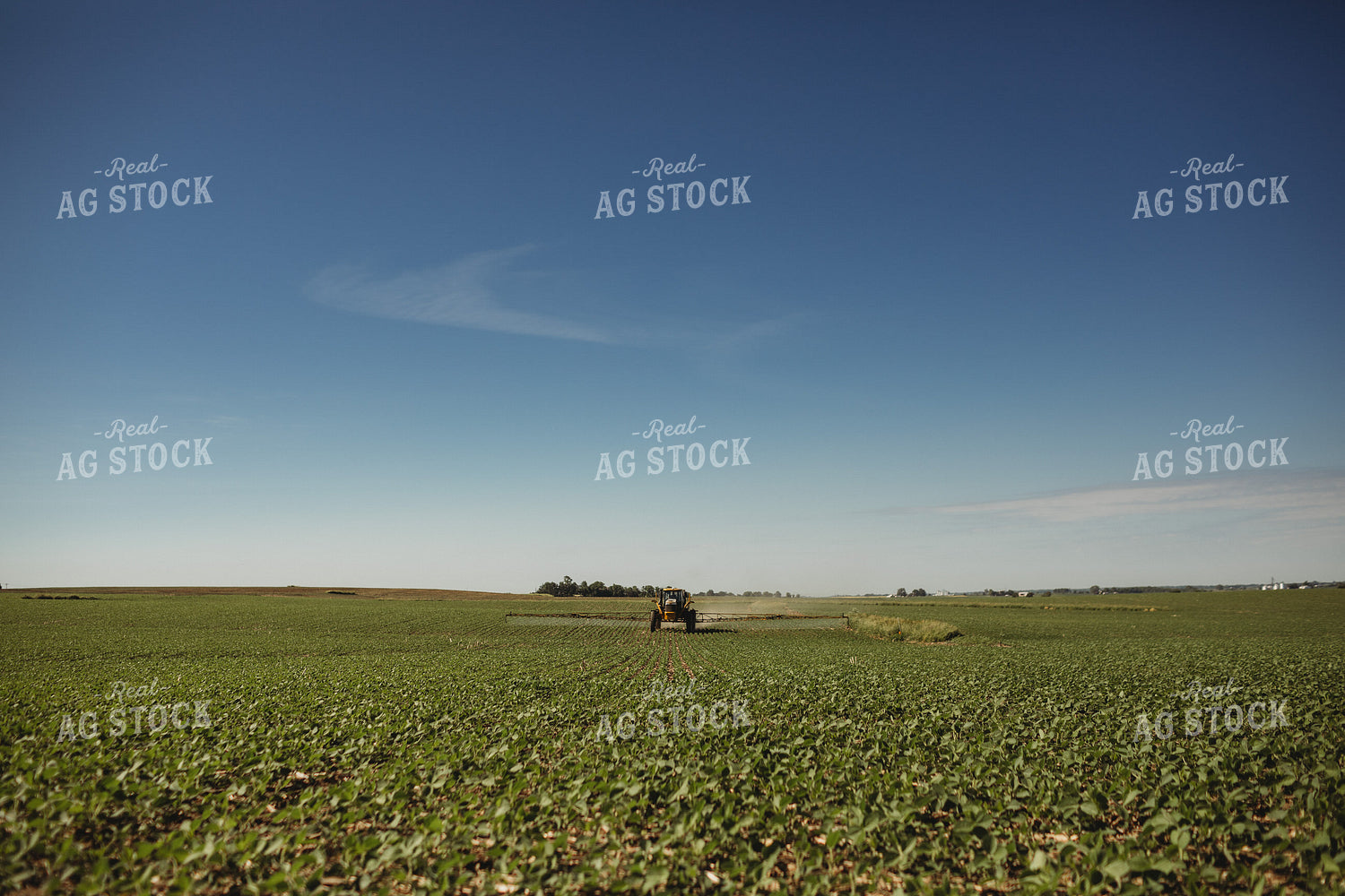 Spraying Soybeans 4389