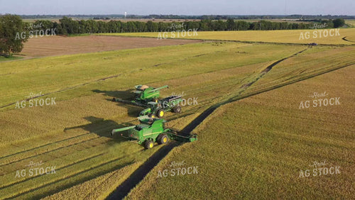 Rice Harvest 79503
