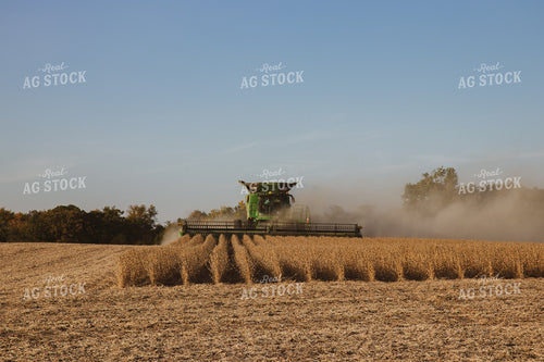 Soybean Harvest 67272