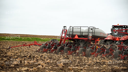 Planting into Tilled Cover Crops 25156