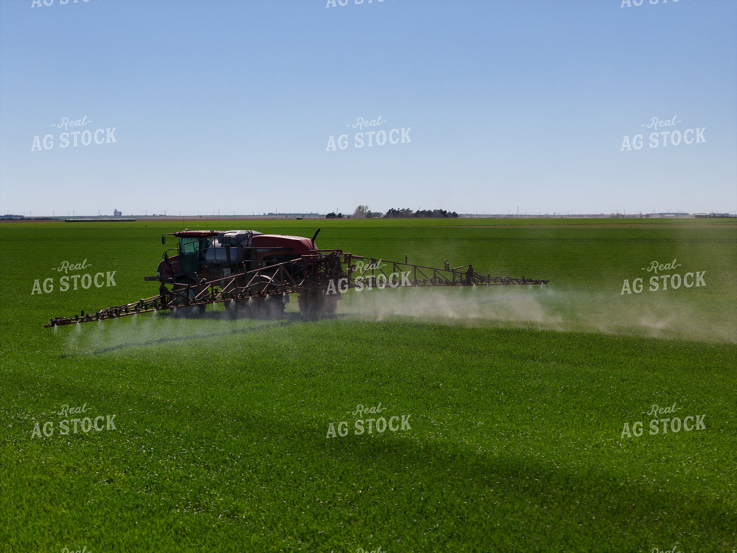 Spraying Winter Wheat 239550