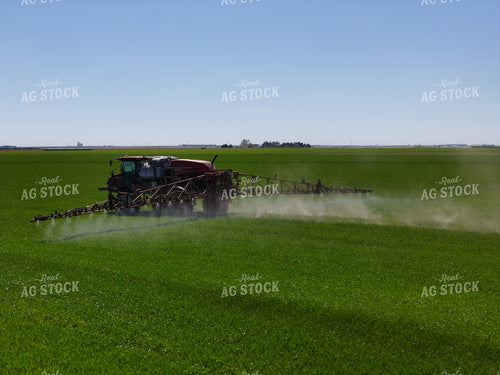 Spraying Winter Wheat 239550