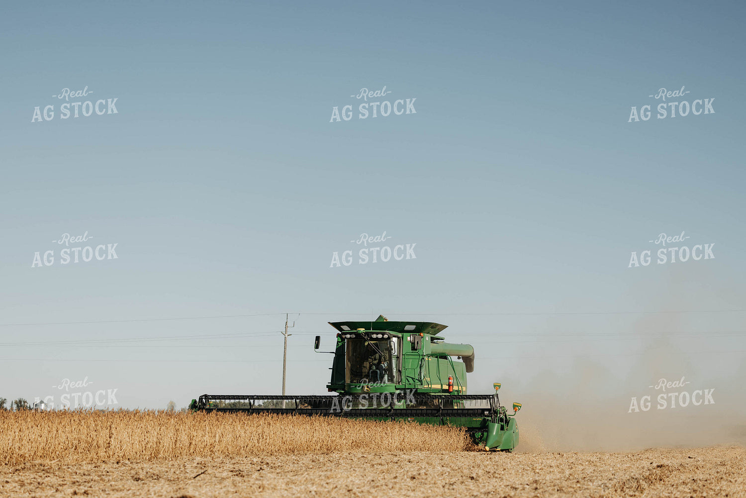 Harvesting Soybeans 152882