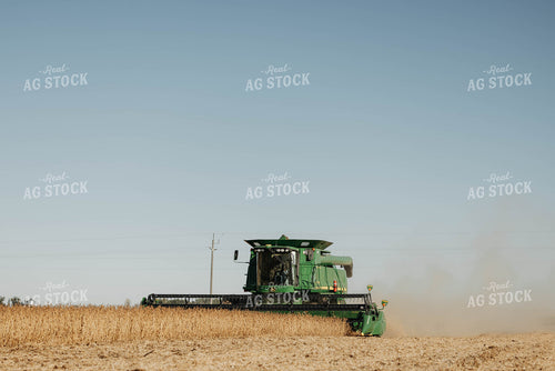 Harvesting Soybeans 152882