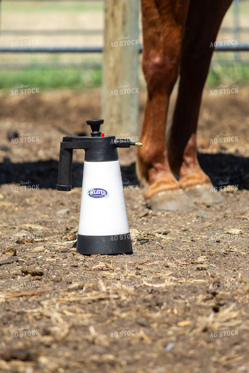 Spray Bottle for Horse Grooming 155593