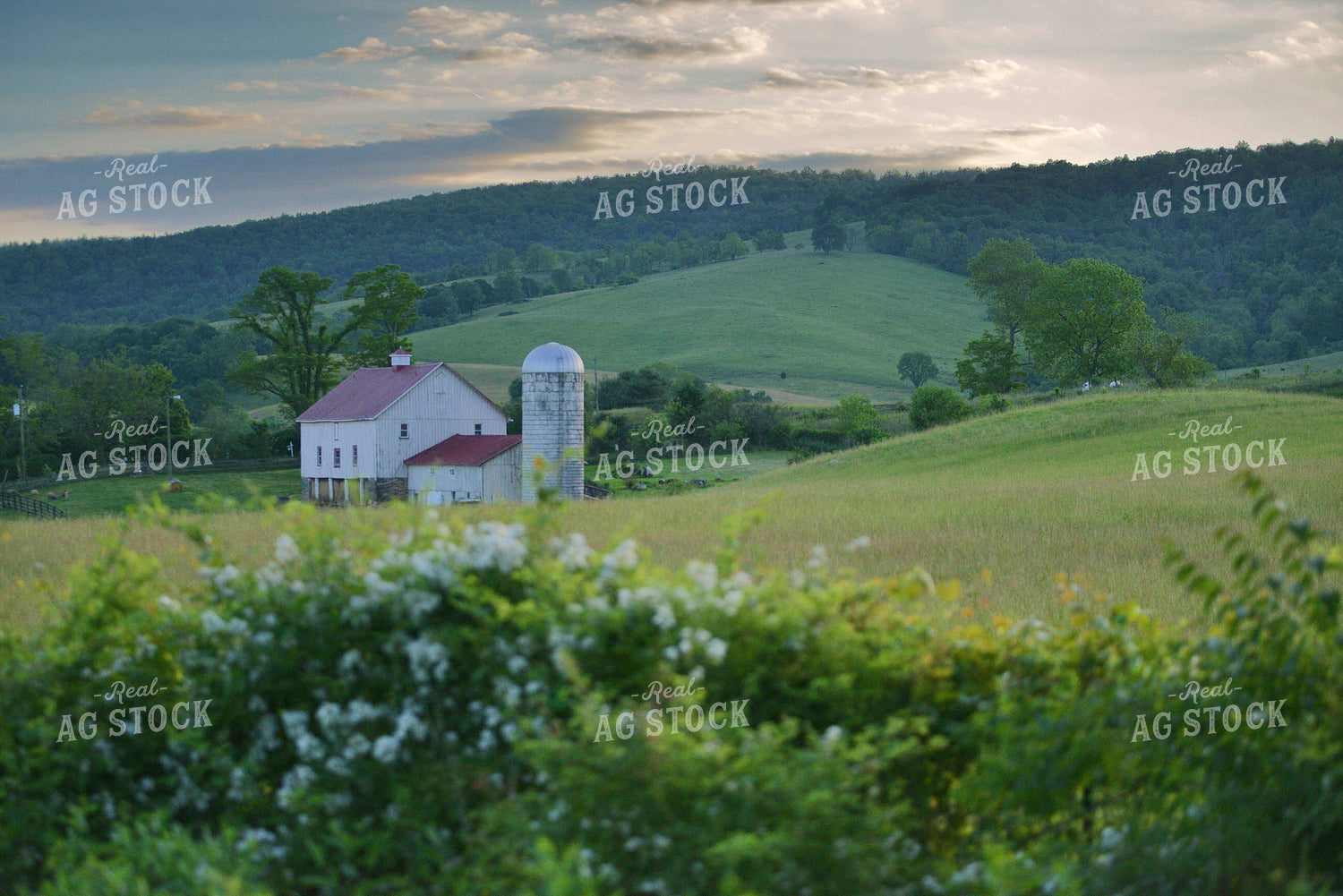 Scenic Countryside 110007