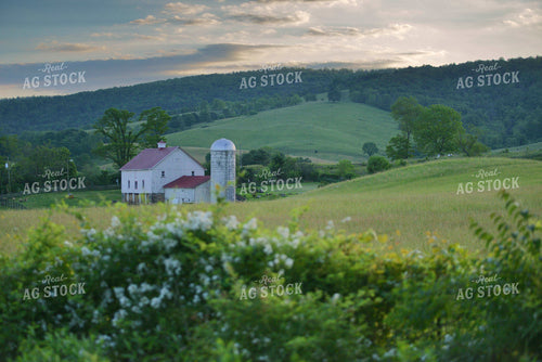Scenic Countryside 110007