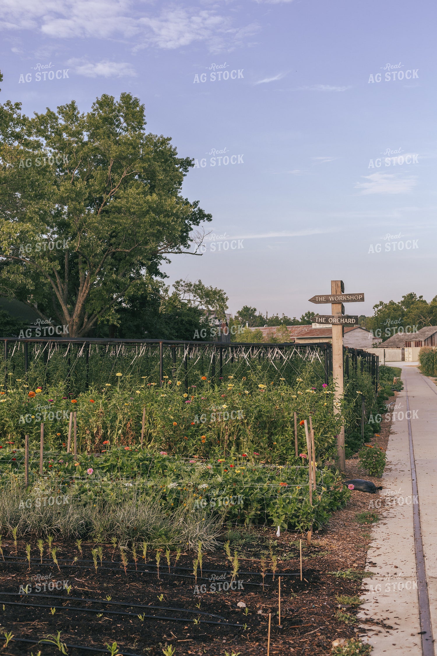 Garden 162026