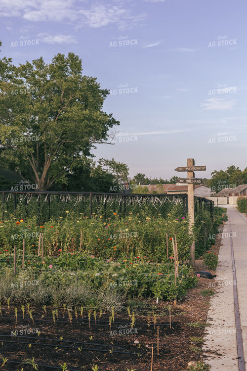 Garden 162026