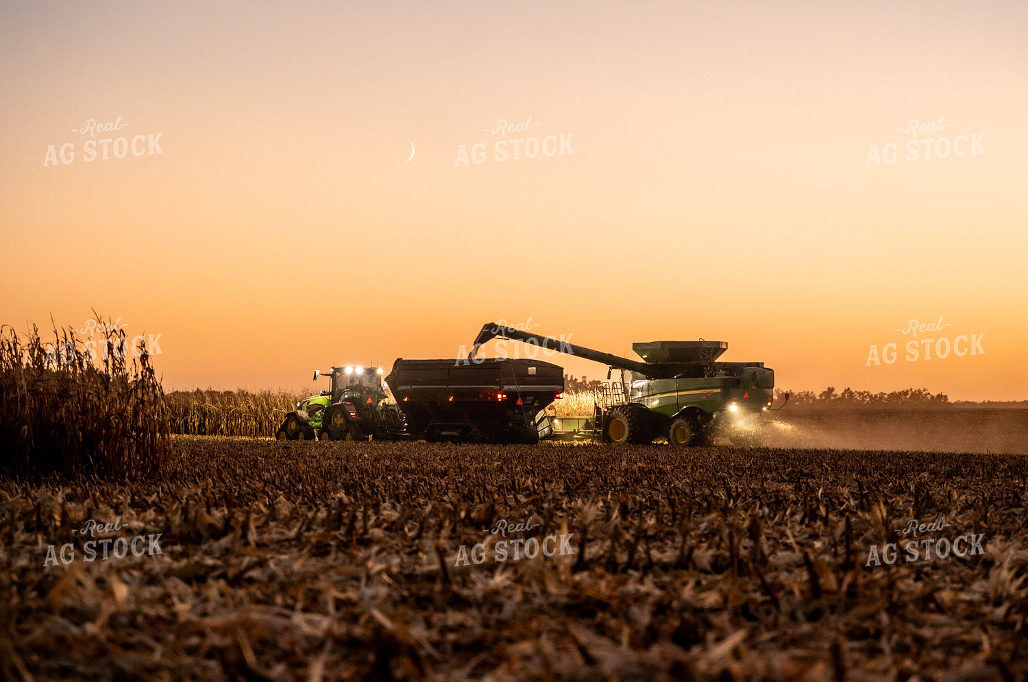 Corn Harvest 185125