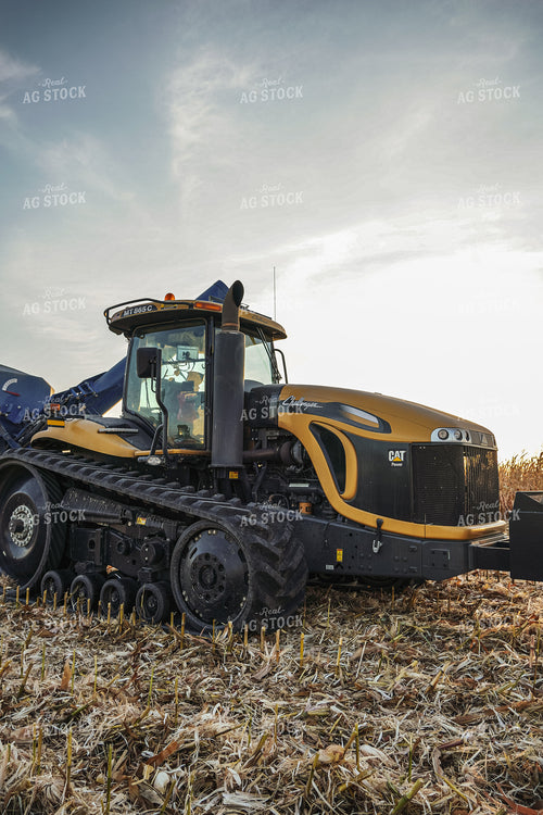 Corn Harvest 273005