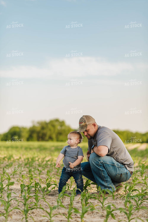 Father & Son Checking Early Growth Corn Field 115063