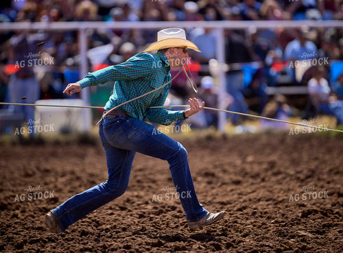 Rodeo 177030