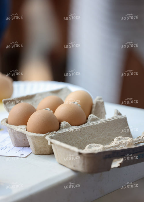 Showing Eggs 160132