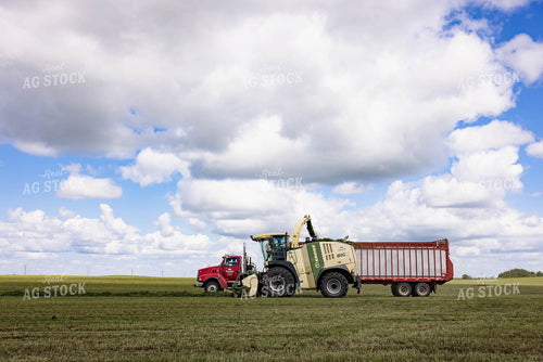 Harvesting Hay Silage 152459