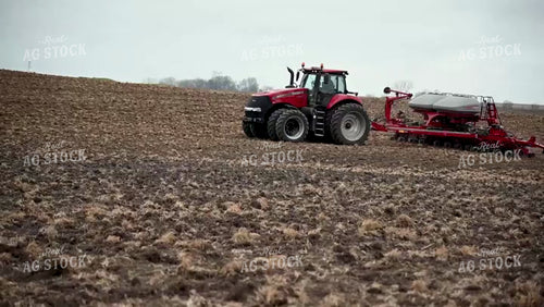 Planting into Tilled Cover Crops - 177