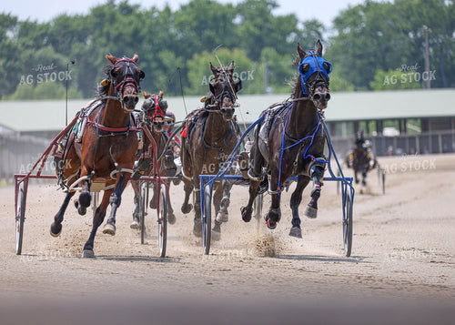 Horse Racing 160255