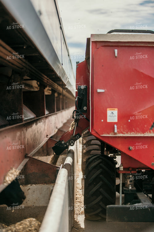 Dispensing Animal Feed 98019