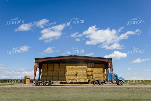 Moving Wheat Straw Bales 152609