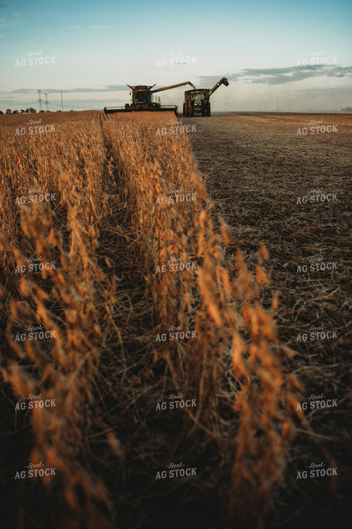 Combine Unloading on the go into Grain Cart at Sunset 3458