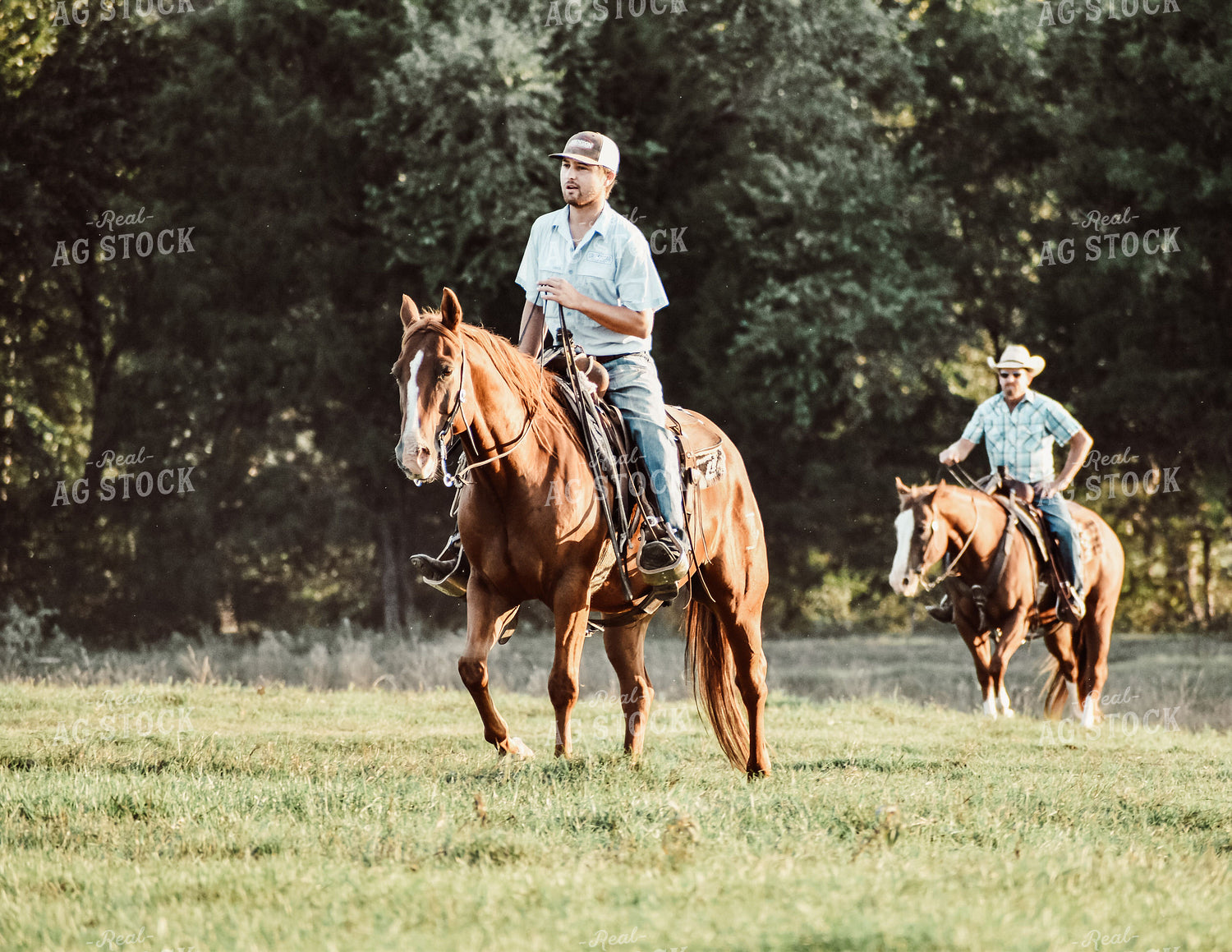Cattleman in Pasture 112010
