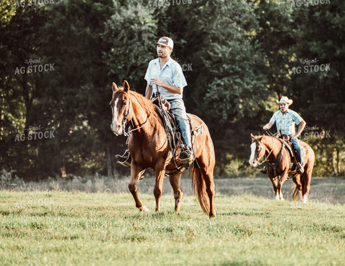 Cattleman in Pasture 112010