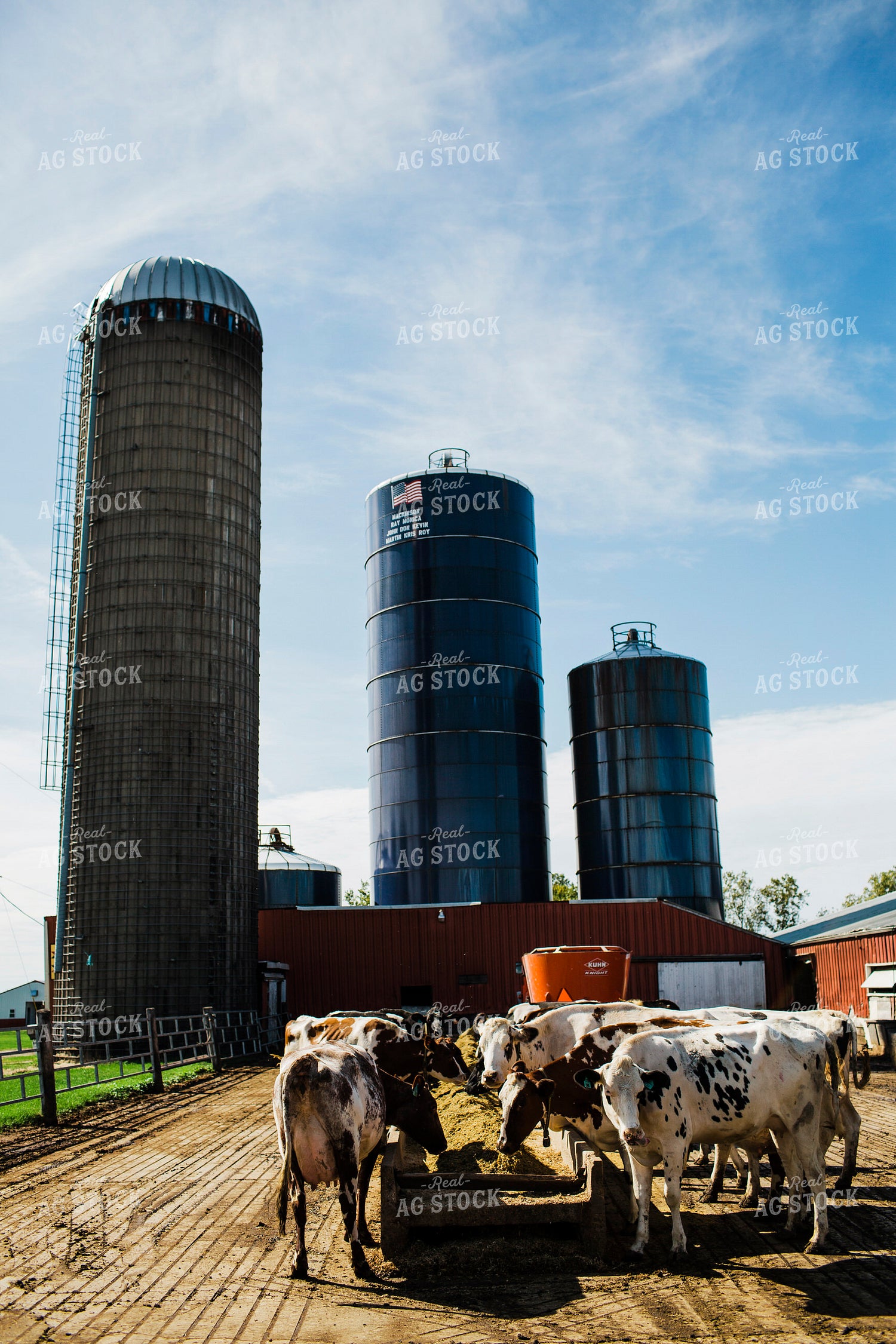 Dairy 2676