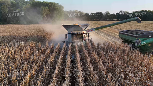 Corn Harvest 79885