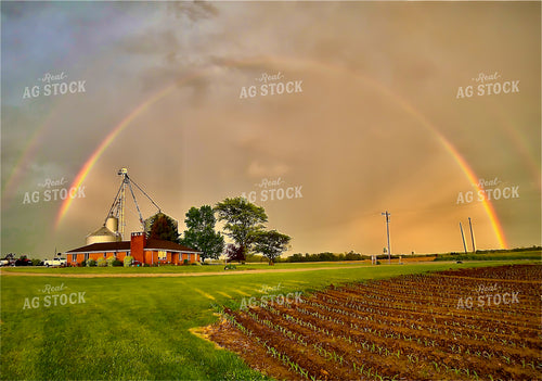 Rainbow Over Farm and Field 84030