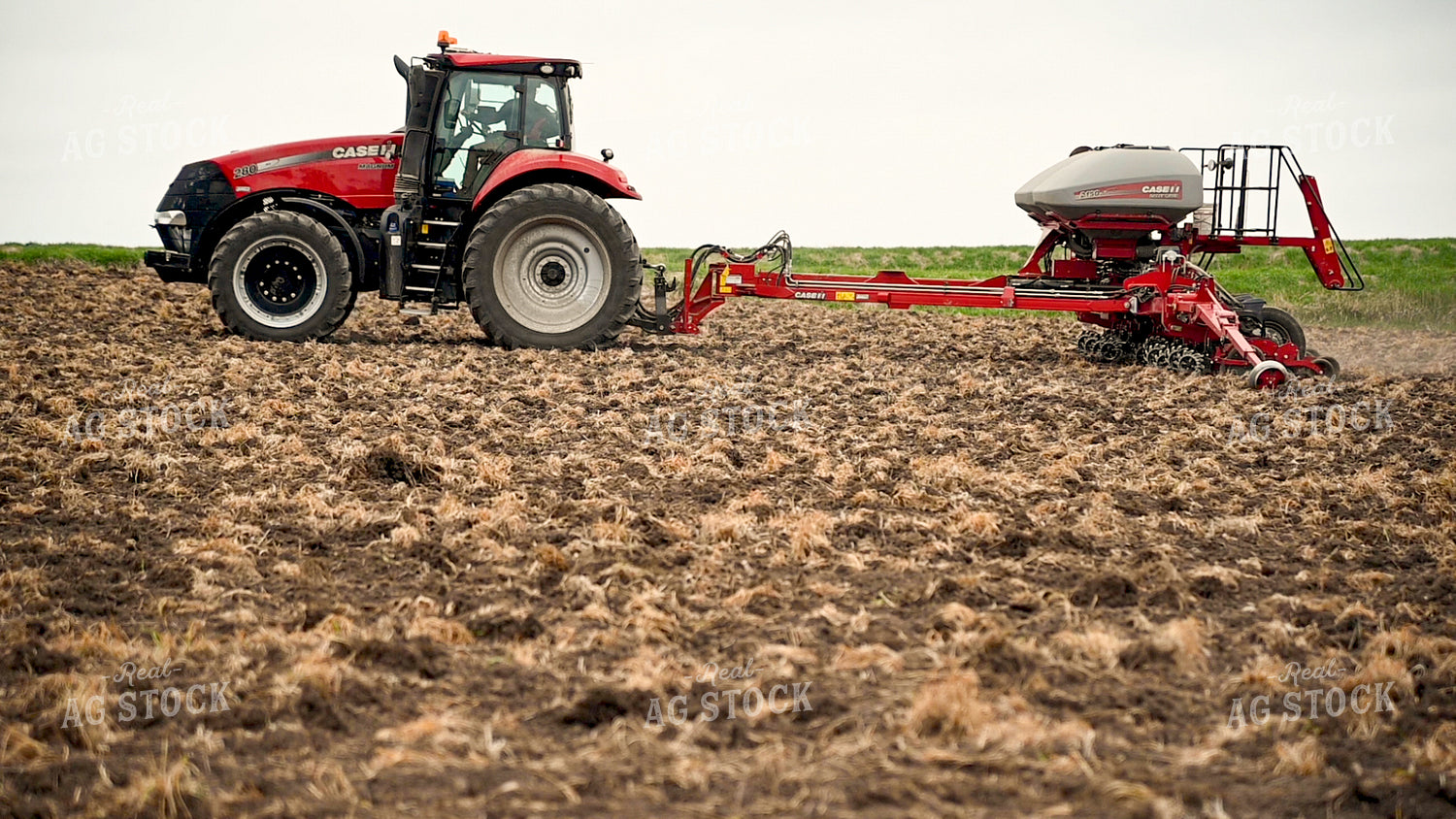 Planting into Tilled Cover Crops 25152
