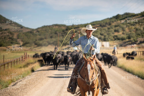 Cowboy on Cattle Drive 117392