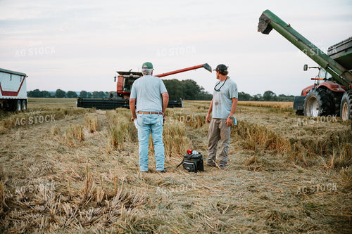 Farmer in Harvested Rice Field 125205