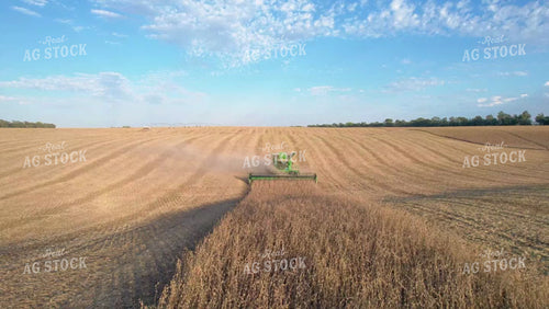 Soybean Harvest 65141