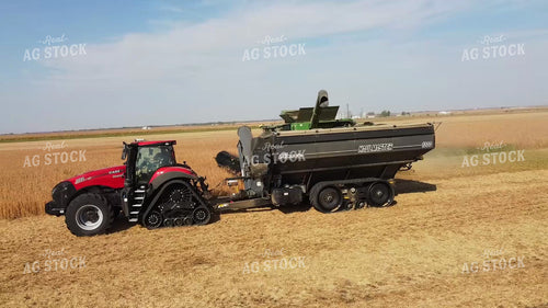 Soybean Harvest 287048