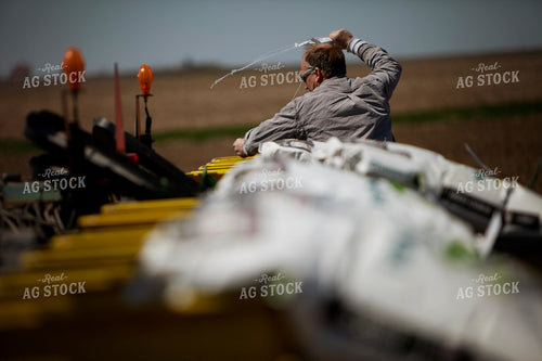 Planting 1998